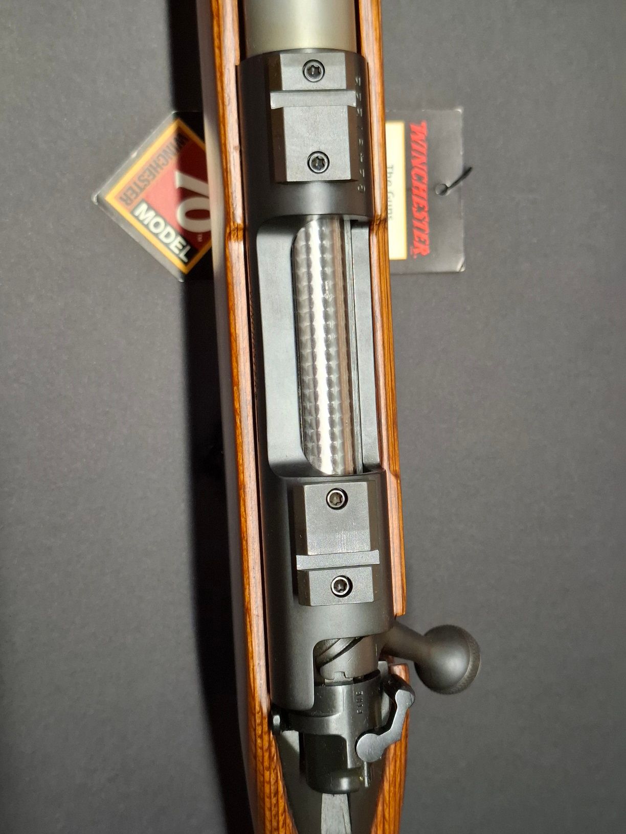 Winchester Model 70 Coyote Laminated .308 Winchester, foto 6